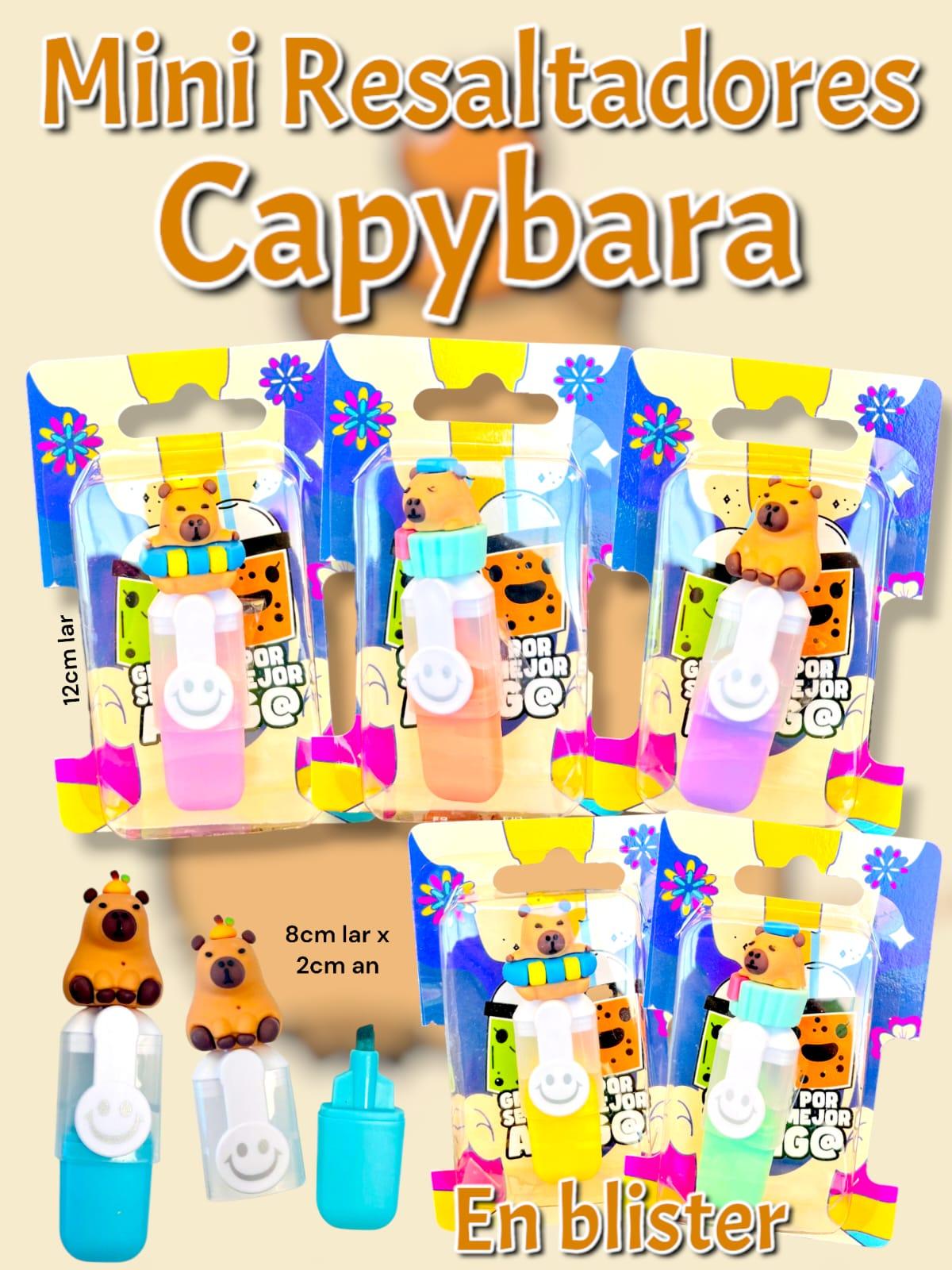 Mini Resaltadores Capybara 