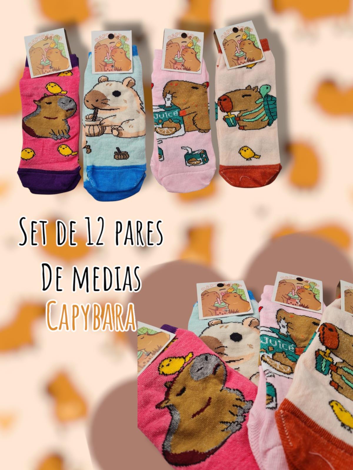 Set de 12 Pares de Medias Capybara 
