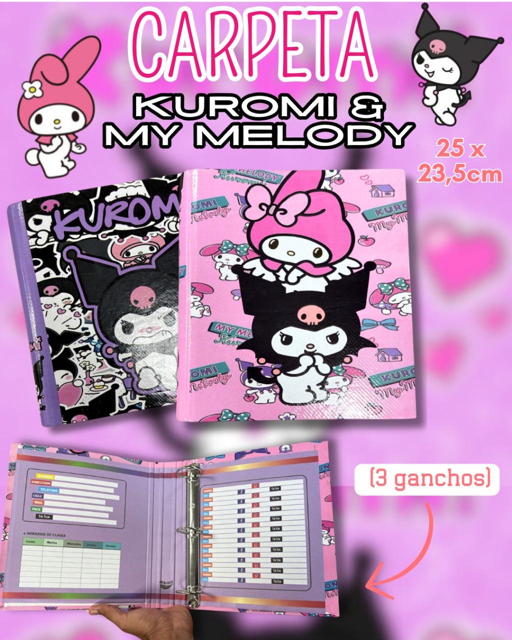 Carpeta 3x40 SANRIO